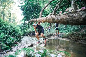 BIB: 
                            <button type="button" onclick="openModal(25434755)" class="btn btn-primary btn-sm float-right btn-popup" data-toggle="modal" data-target=".modal-high-quality">
                        <i class="fas fa-shopping-cart"></i> Add to Cart
                    </button>
                                            <button type="button" onclick="isThisMe(25434755, true)" class="btn btn-success btn-sm float-right btn-popup btn-isme hidden" data-toggle="tooltip" data-placement="bottom" title="นี่คือรูปของคุณใช่ไหม คลิกที่นี่เพื่อเอาเข้าอัลบั้ม">
                        <i class="fas fa-plus"></i> Add to album
                    </button>
                    <button type="button" onclick="isThisMe(25434755, false)" class="btn btn-warning btn-sm float-right btn-popup btn-isnotme hidden">
                        <i class="fas fa-ban"></i> Remove from album
                    </button>